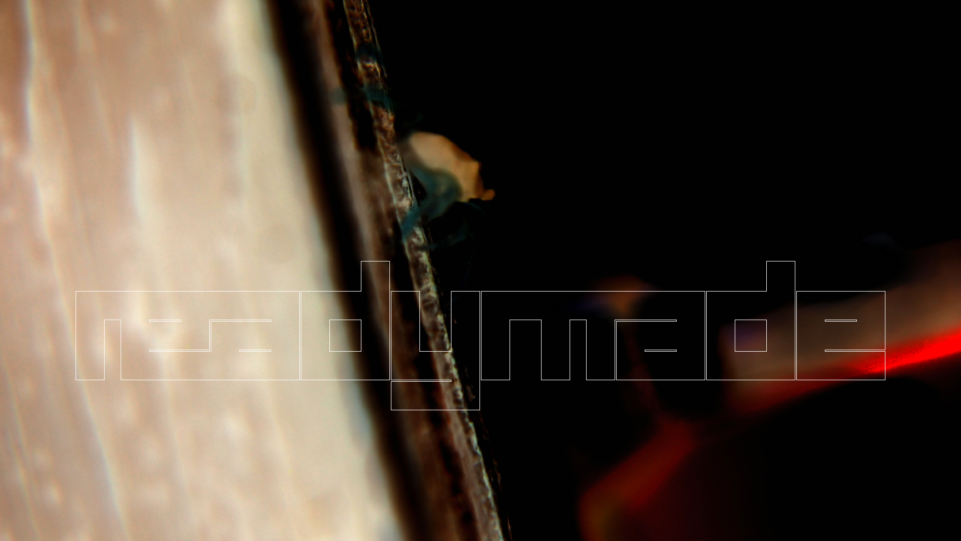 2022-10-22 11 Uhr 04 kleine Krabben (Foto, Video)